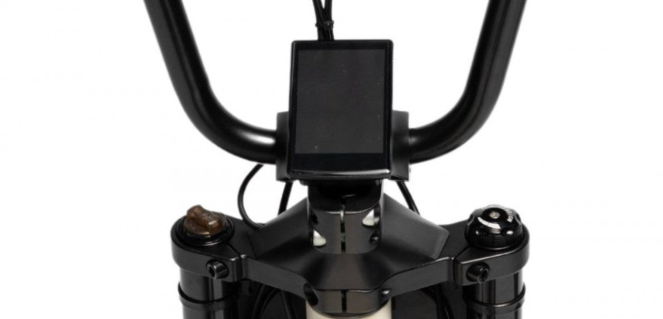 Elektrische fatbike Phatfour FLXS zwart – compact design met dikke banden