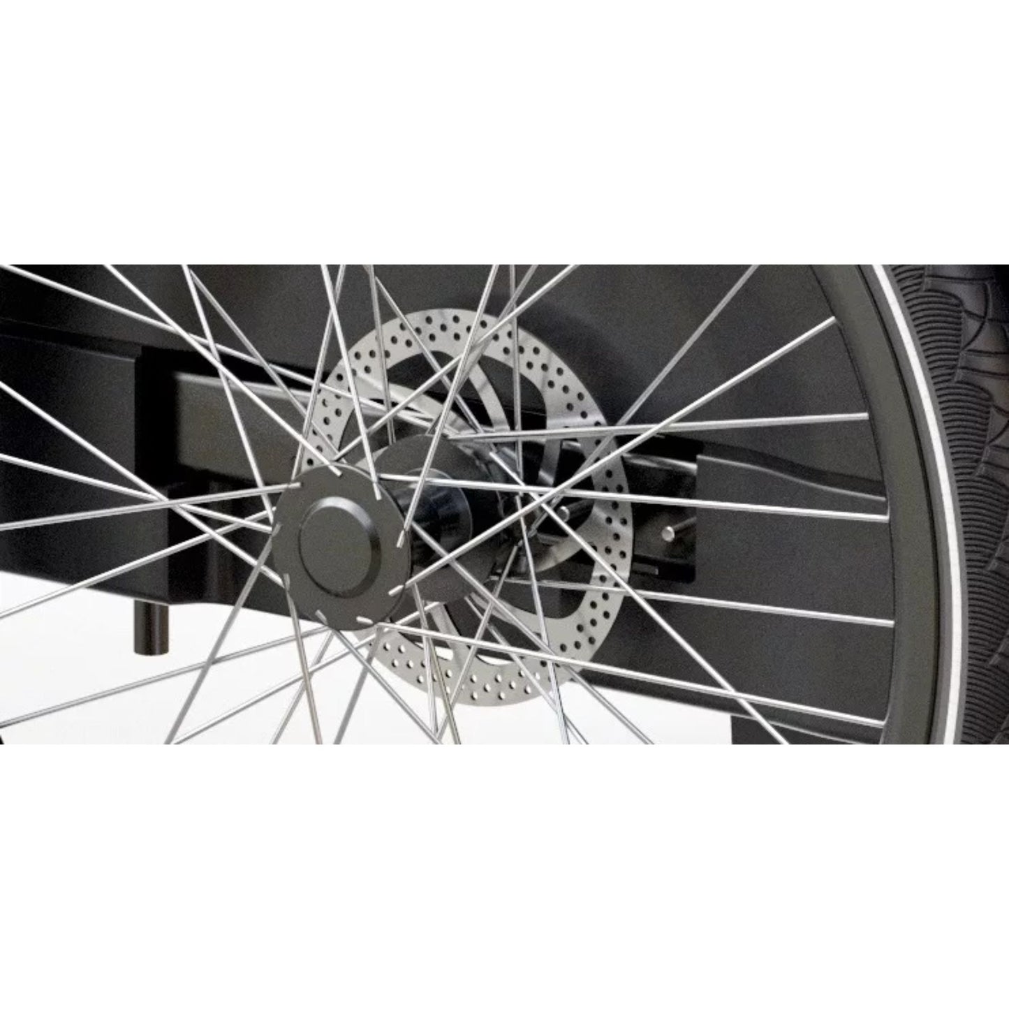 Elektrische bakfiets 3 wielen Royal Cargo Bike voor veilig hondenvervoer