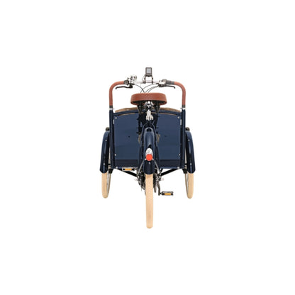Premium elektrische bakfiets 3 wielen met aluminium bak en middenmotor