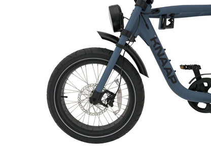 Beste elektrische fatbike KNAAP AMS X met brede banden en buddyseat