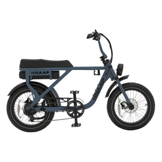Beste elektrische fatbike KNAAP AMS X met brede banden en buddyseat