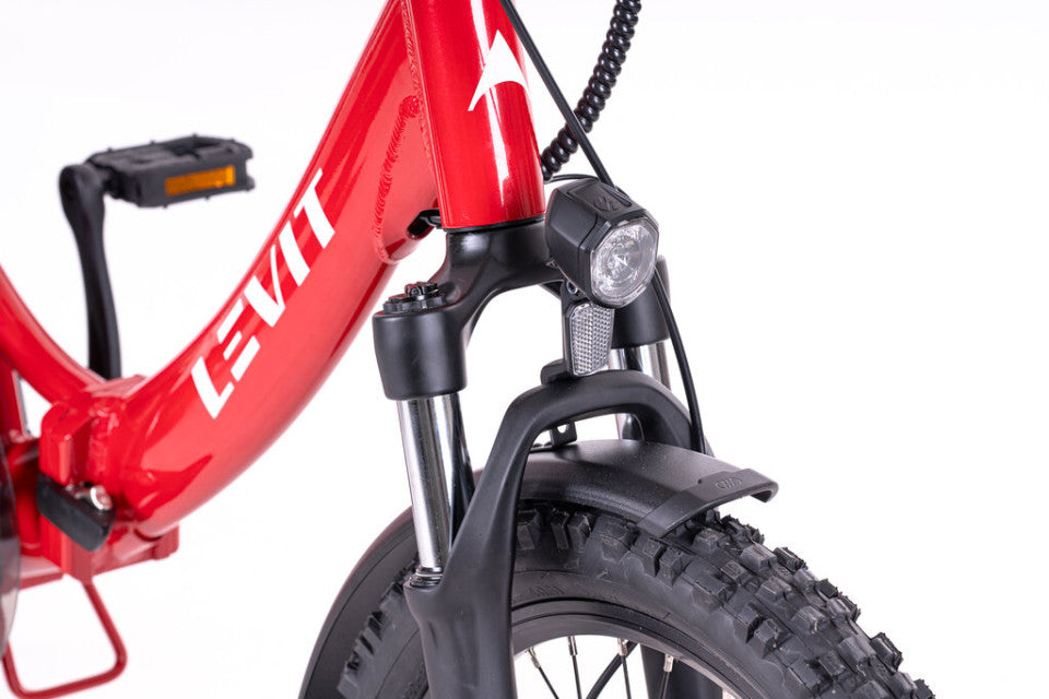Elektrische vouwfiets Levit Forteco 1 2026 ladybug met lage instap