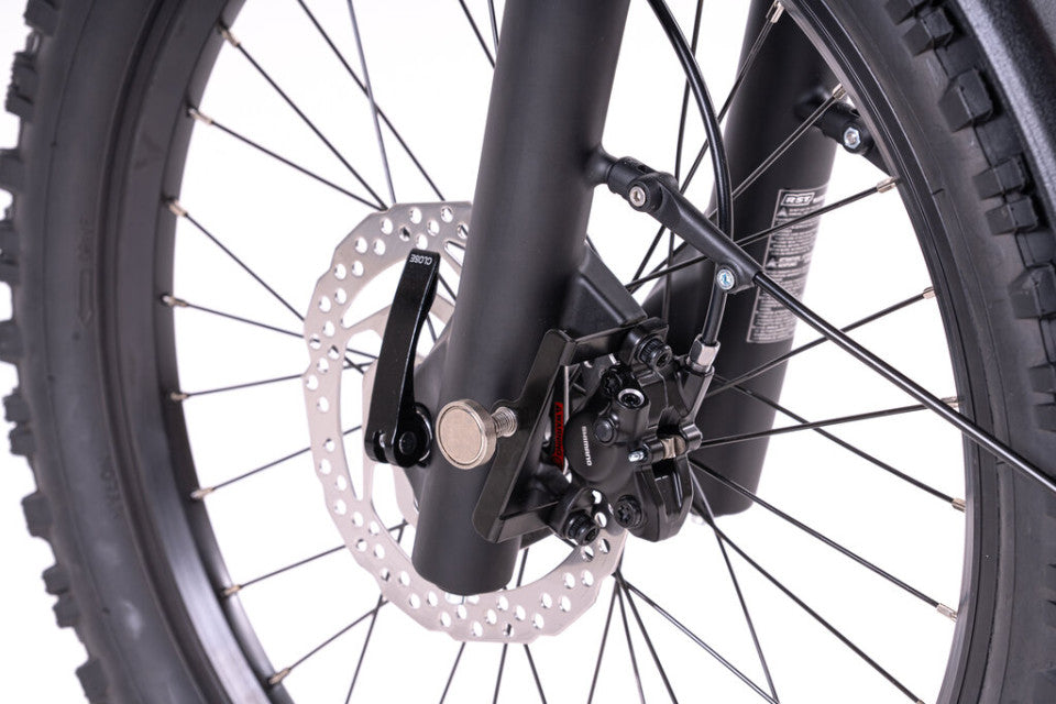 Elektrische vouwfiets Levit Forteco 1 2026 ladybug met lage instap