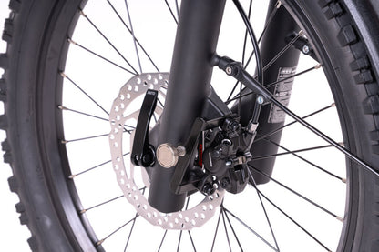 Elektrische vouwfiets Levit Forteco 1 2026 ladybug met lage instap