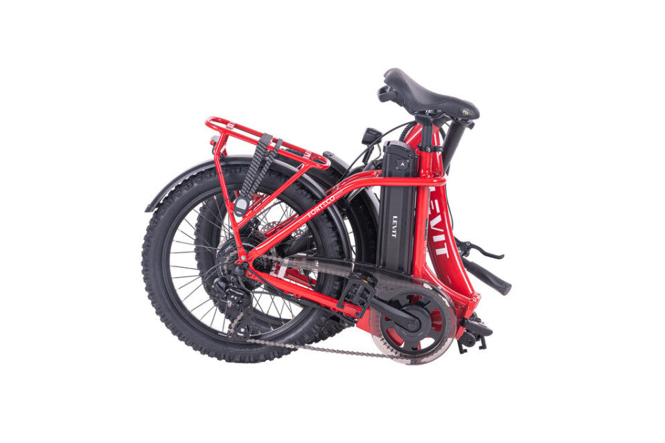 Elektrische vouwfiets Levit Forteco 1 2026 ladybug met lage instap
