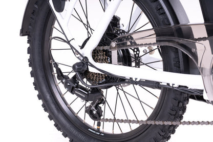 Elektrische vouwfiets 20 inch lichtgewicht Levit Forteco 3 opgevouwen