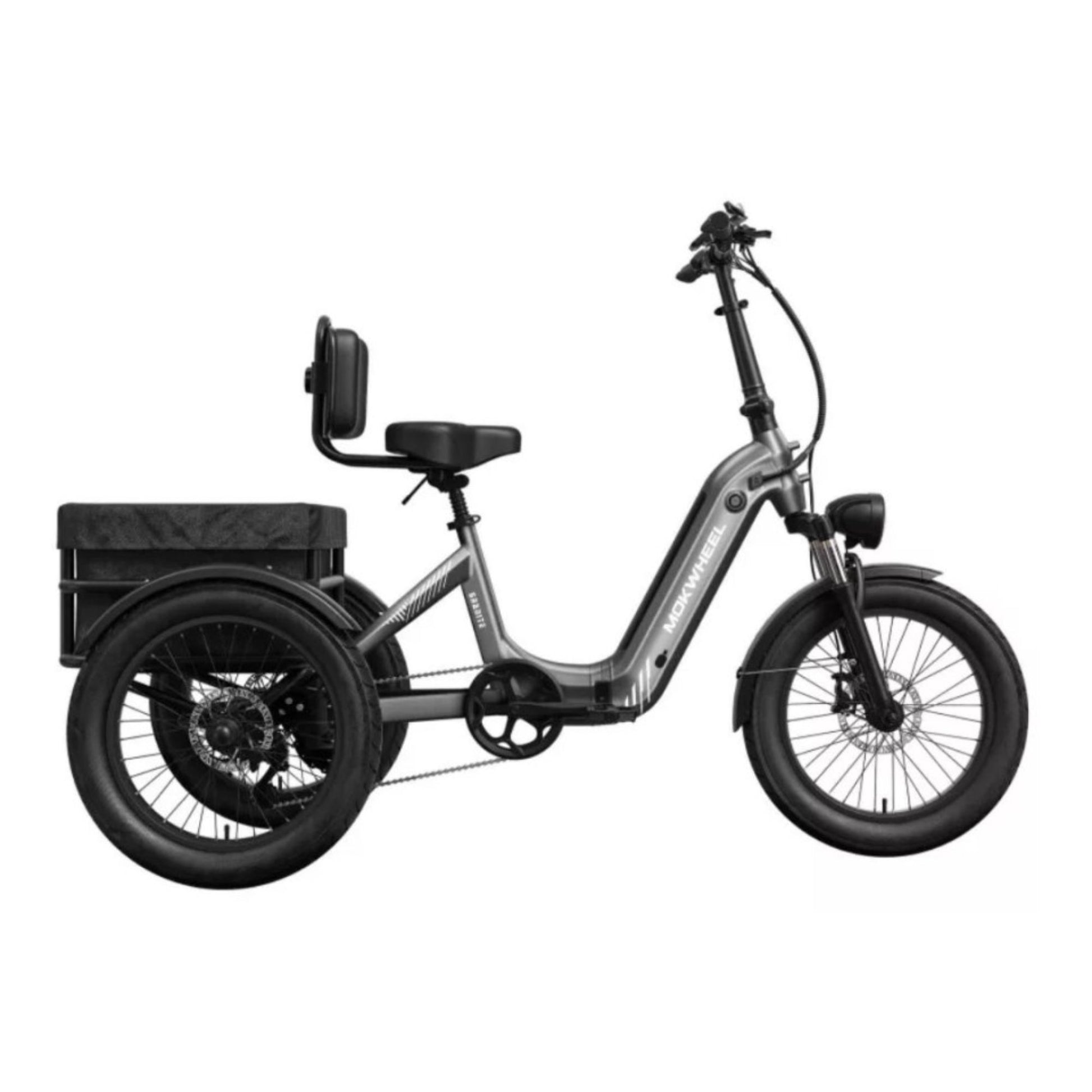 Driewieler elektrische fiets voor volwassenen met brede banden en bagagedrager