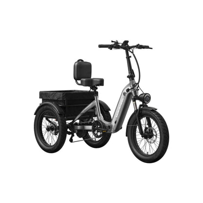 Driewieler elektrische fiets voor volwassenen met brede banden en bagagedrager