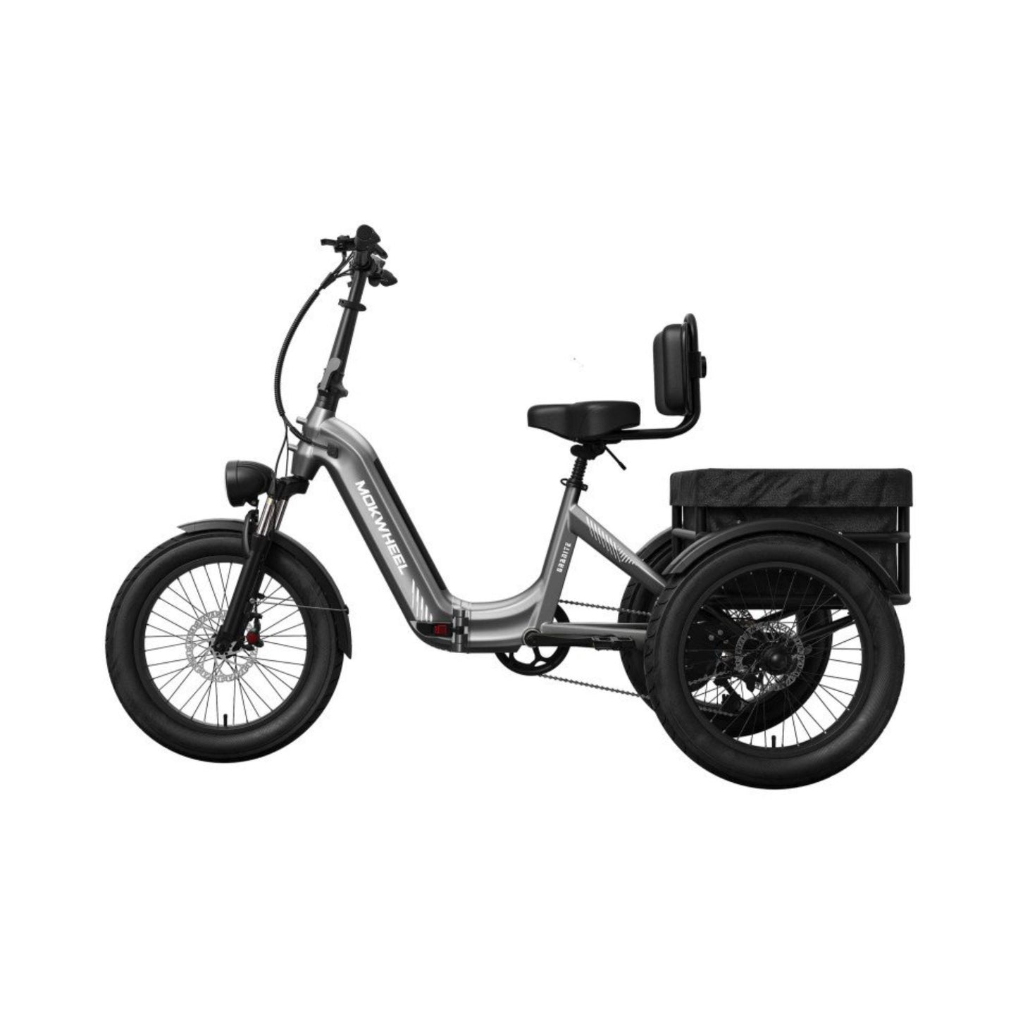Driewieler elektrische fiets voor volwassenen met brede banden en bagagedrager