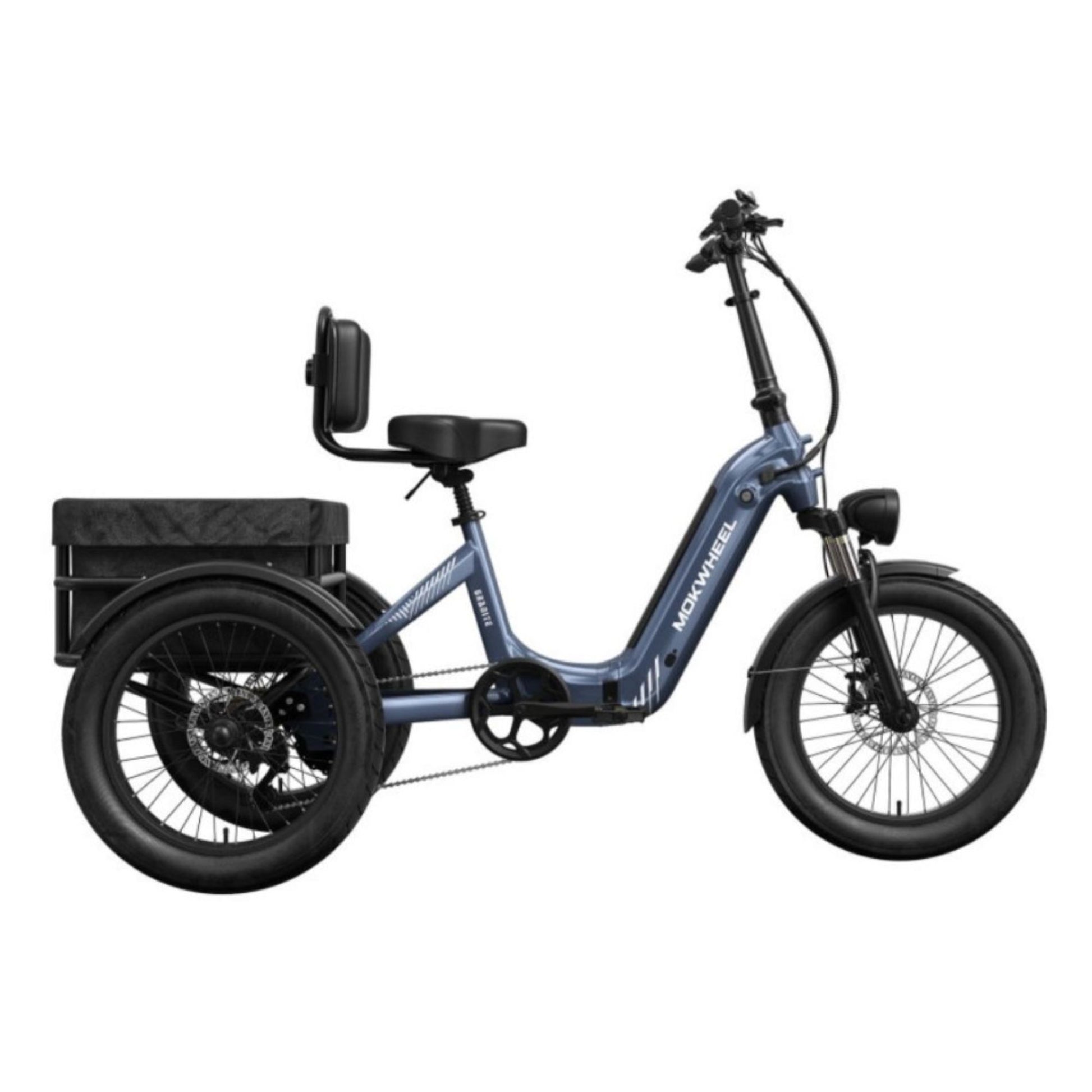 Driewieler elektrische fiets voor volwassenen met brede banden en bagagedrager