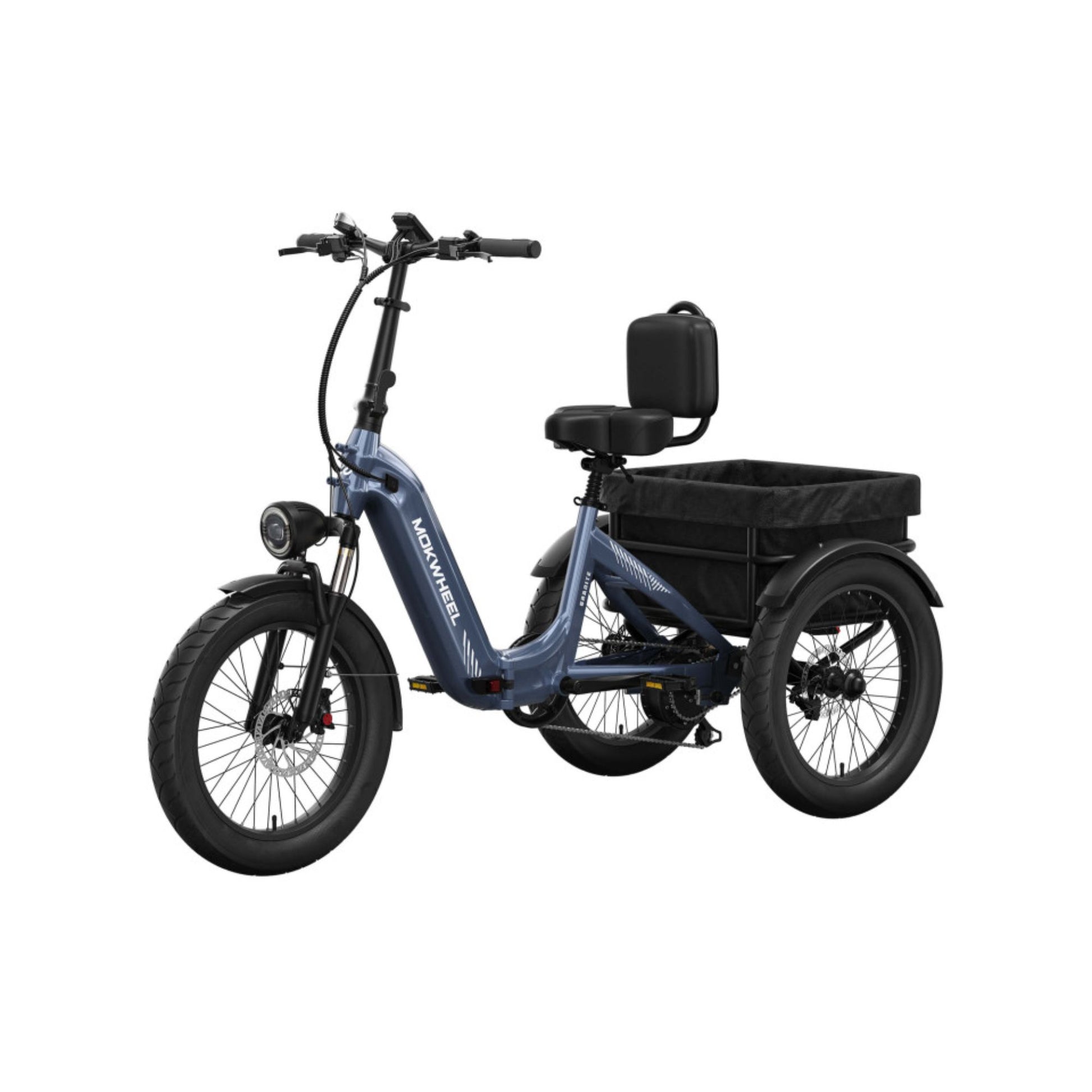 Driewieler elektrische fiets voor volwassenen met brede banden en bagagedrager