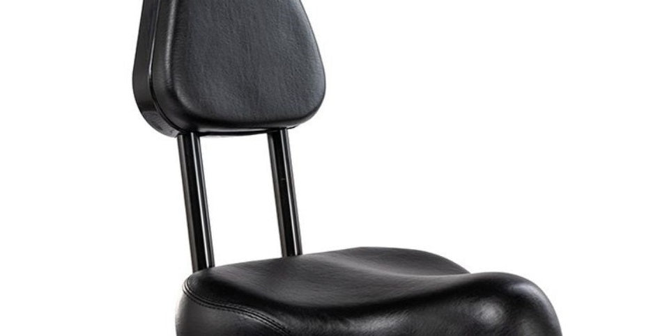 Driewieler elektrische fiets Pfautec Eno met ergonomische zithouding