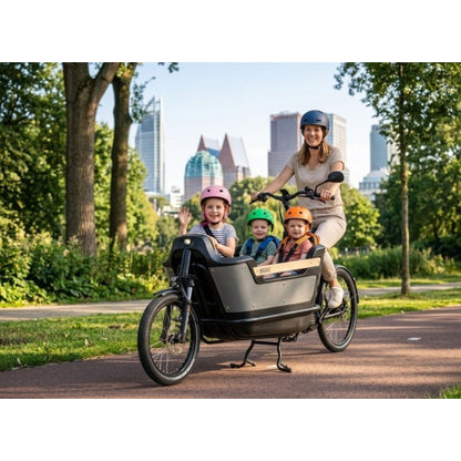Elektrische bakfiets tweewieler met ruime kunststof bak en veiligheidsriemen