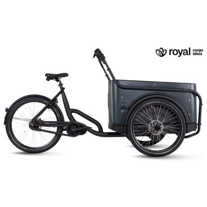 Elektrische bakfiets driewieler met ruime kunststof bak voor 4 kinderen