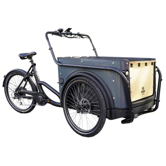 Elektrische bakfiets driewieler met ruime kunststof bak voor 4 kinderen