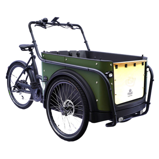 Elektrische bakfiets driewieler met ruime kunststof bak voor 4 kinderen