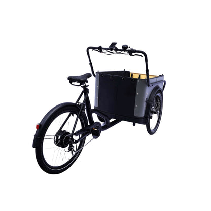 Elektrische bakfiets driewieler met ruime kunststof bak voor 4 kinderen