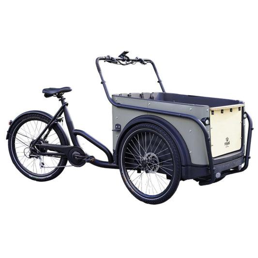 Elektrische bakfiets driewieler met ruime kunststof bak voor 4 kinderen