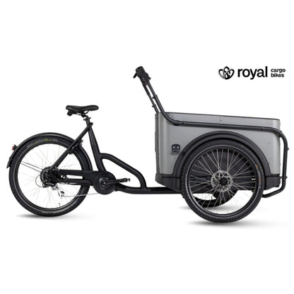 Elektrische bakfiets driewieler met ruime kunststof bak voor 4 kinderen