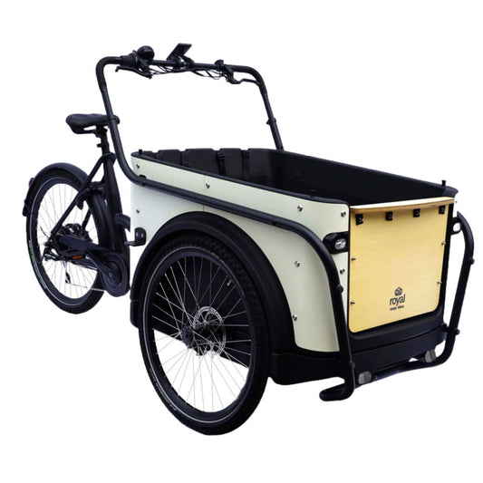 Elektrische bakfiets driewieler met ruime kunststof bak voor 4 kinderen