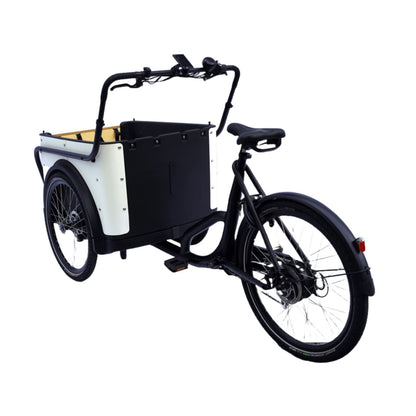 Elektrische bakfiets driewieler met ruime kunststof bak voor 4 kinderen