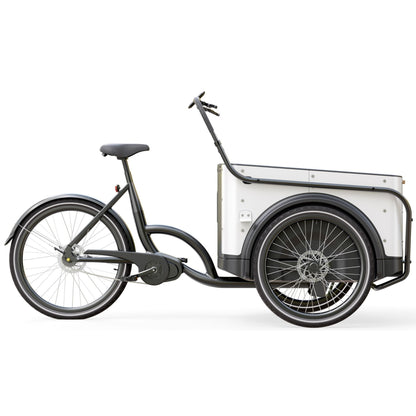 Elektrische bakfiets driewieler met ruime kunststof bak voor 4 kinderen