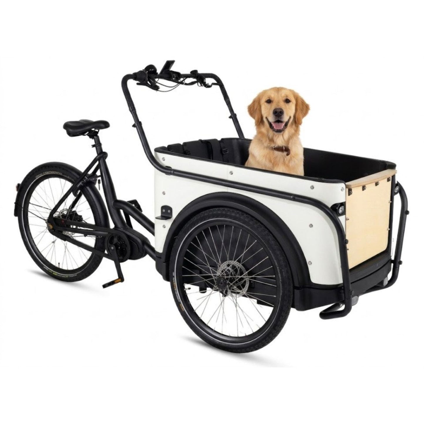 Elektrische bakfiets driewieler met ruime kunststof bak voor 4 kinderen
