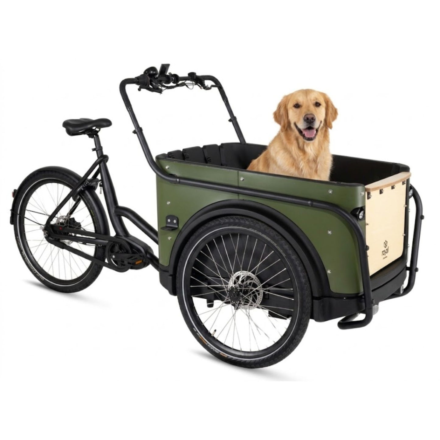 Elektrische bakfiets 3 wielen Royal Cargo Bike 3W Premium met kindervoorzitjes