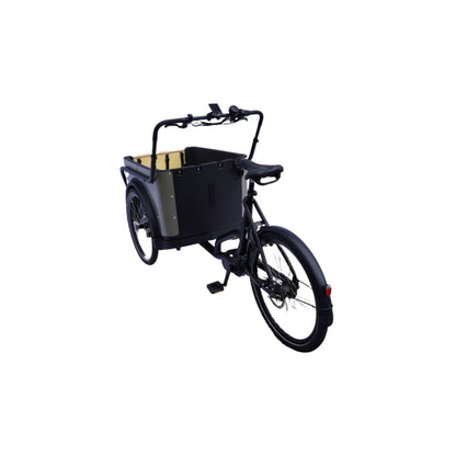 Elektrische bakfiets 3 wielen Royal Cargo Bike 3W Premium met kindervoorzitjes
