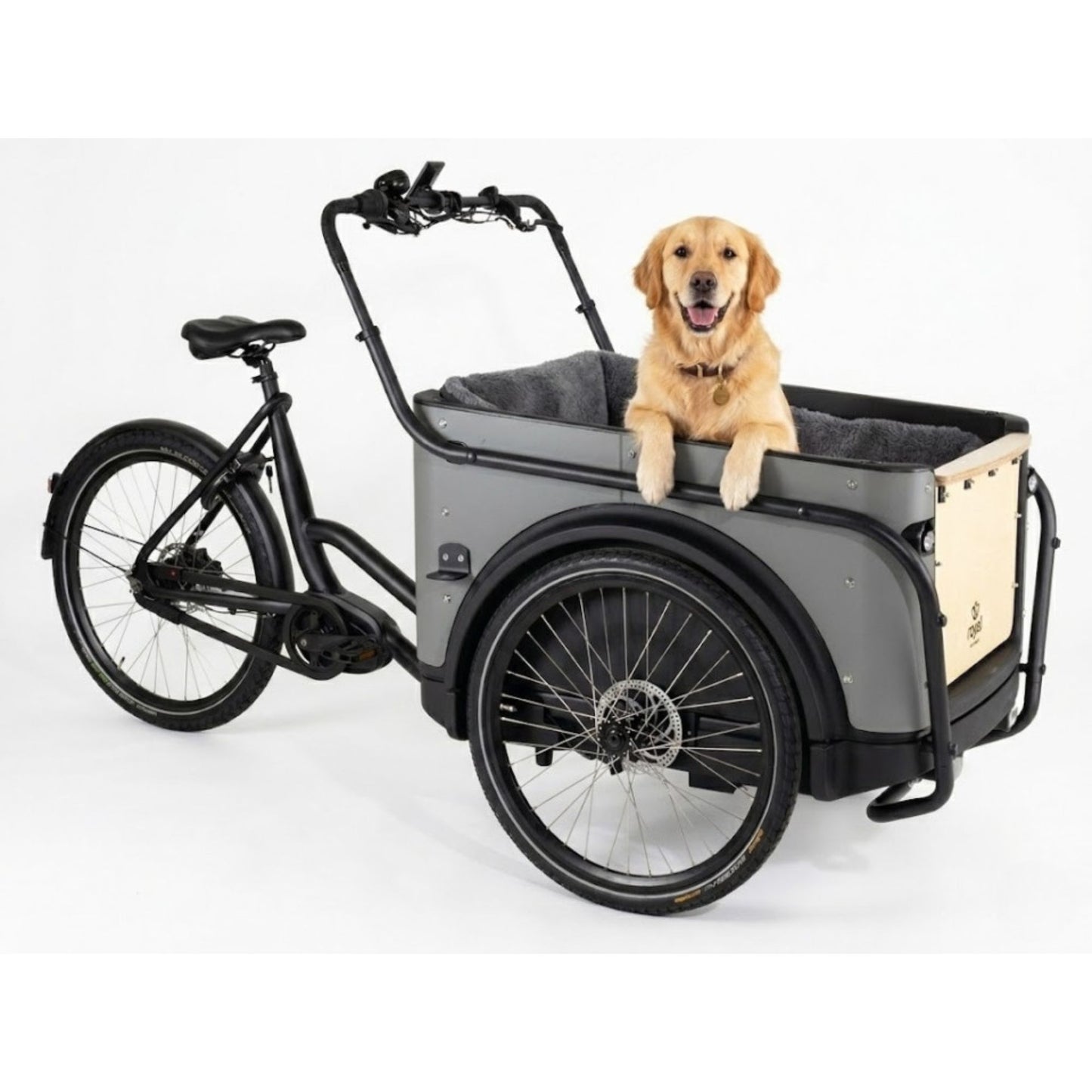 Elektrische bakfiets 3 wielen Royal Cargo Bike 3W Premium met kindervoorzitjes