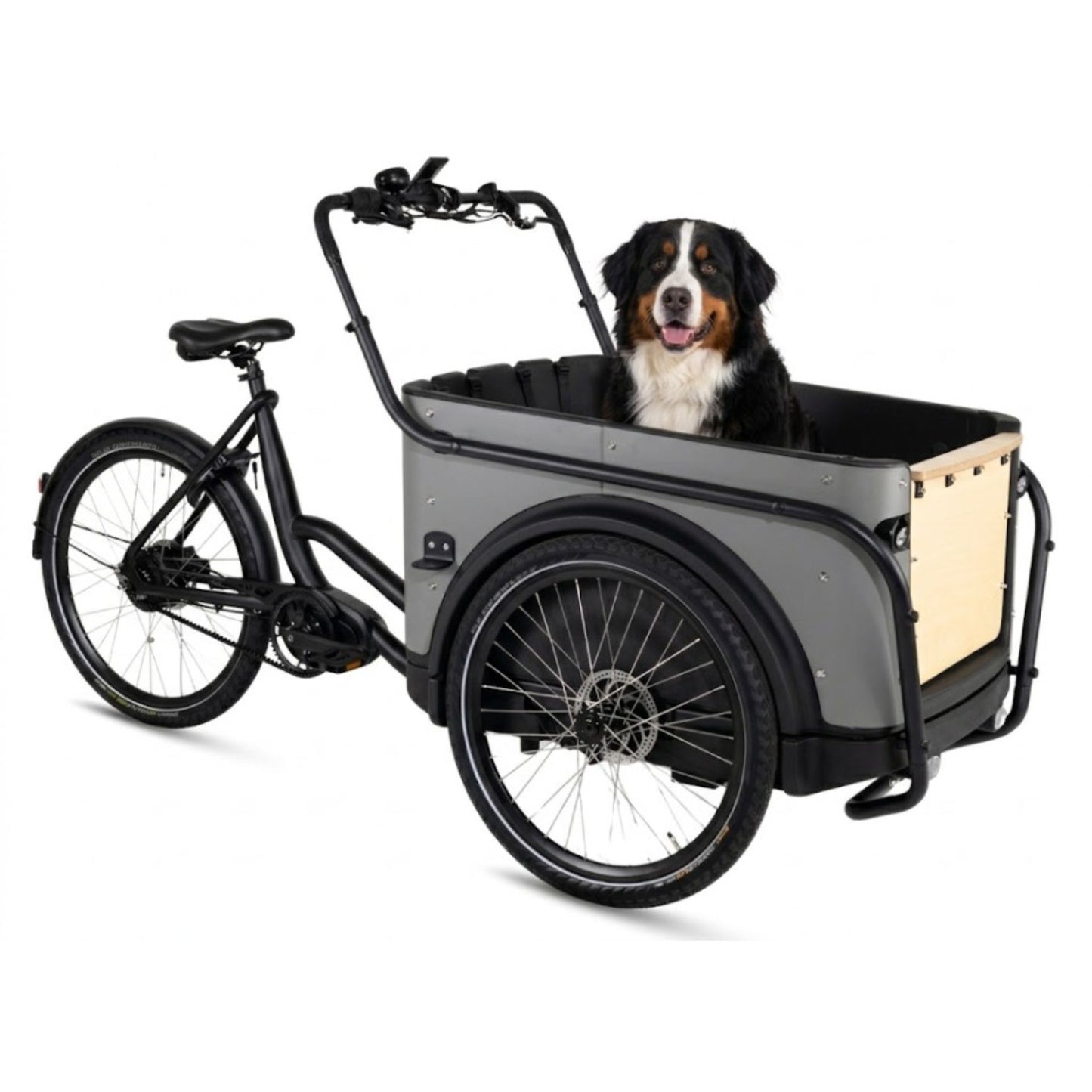 Royal Cargo Bike 3W Premium Plus | Elektrische bakfiets - Veilig, Ruim & Zorgeloos onderweg - Taupe Grijs