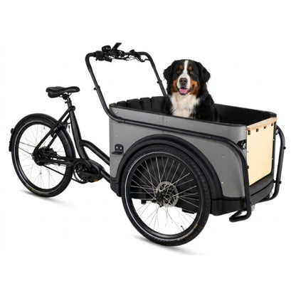 Royal Cargo Bike 3W Premium Plus | Elektrische bakfiets - Veilig, Ruim & Zorgeloos onderweg - Taupe Grijs