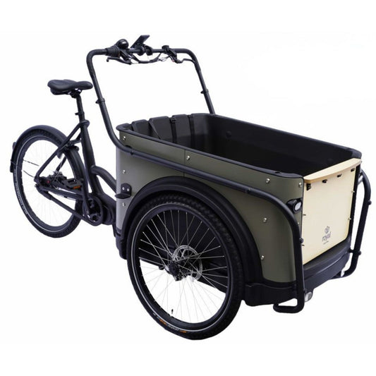 Elektrische bakfiets 3 wielen Royal Cargo Bike 3W Premium met kindervoorzitjes