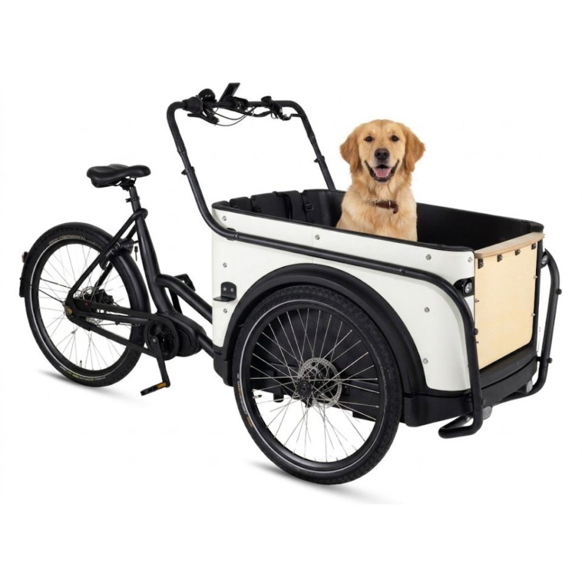 Elektrische bakfiets 3 wielen Royal Cargo Bike 3W Premium met kindervoorzitjes