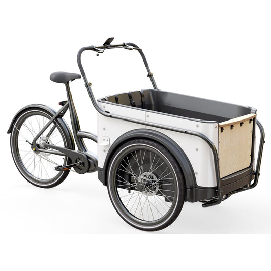 Elektrische bakfiets 3 wielen Royal Cargo Bike 3W Premium met kindervoorzitjes