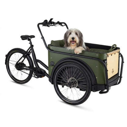 Elektrische bakfiets 3 wielen Royal 3W Premium Plus met ruime kunststof bak