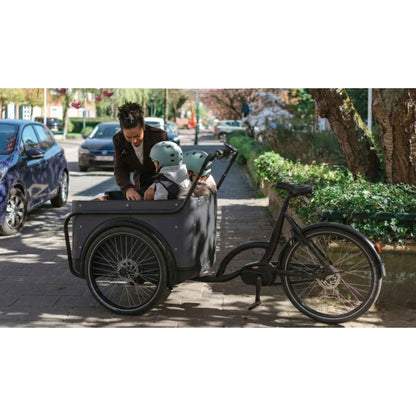 Elektrische bakfiets 3 wielen Royal 3W Premium Plus met ruime kunststof bak
