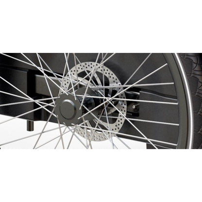 Elektrische bakfiets 3 wielen Royal 3W Premium Plus met ruime kunststof bak