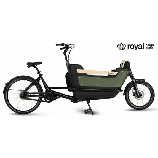 Elektrische bakfiets tweewieler met ruime kunststof bak en veiligheidsriemen