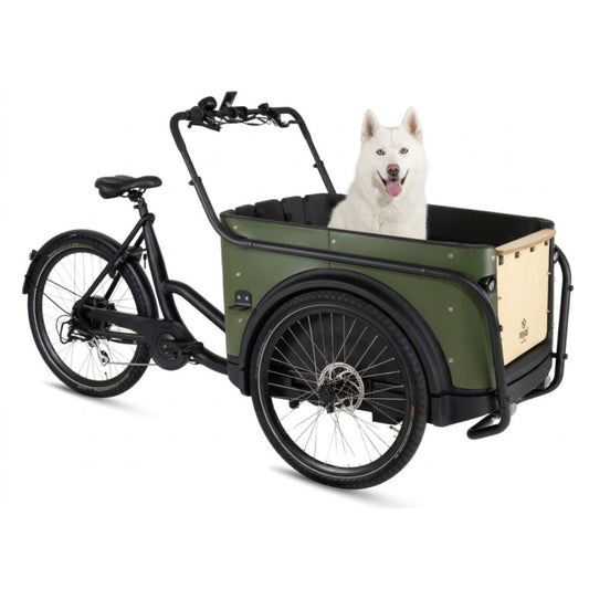 Elektrische bakfiets hond Royal Cargo Bike 3W Eco Dog in stadsomgeving