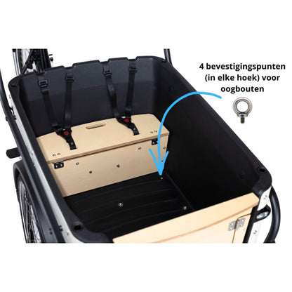 Elektrische bakfiets hond Royal Cargo Bike 3W Eco Dog in stadsomgeving