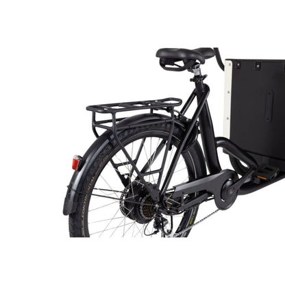 Elektrische bakfiets hond Royal Cargo Bike 3W Eco Dog in stadsomgeving