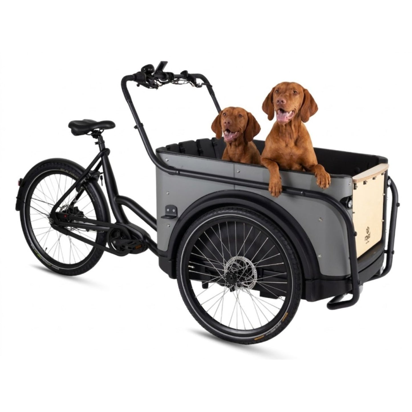 Elektrische bakfiets 3 wielen Royal Cargo Bike voor veilig hondenvervoer