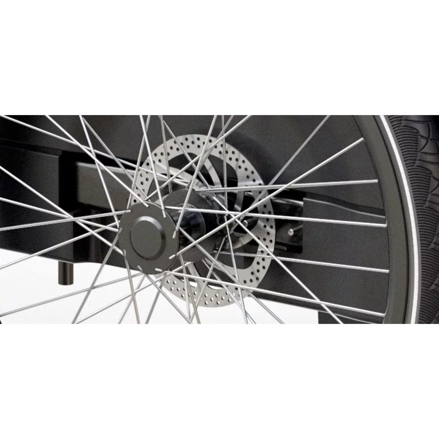 Elektrische bakfiets 3 wielen Royal Cargo Bike voor veilig hondenvervoer