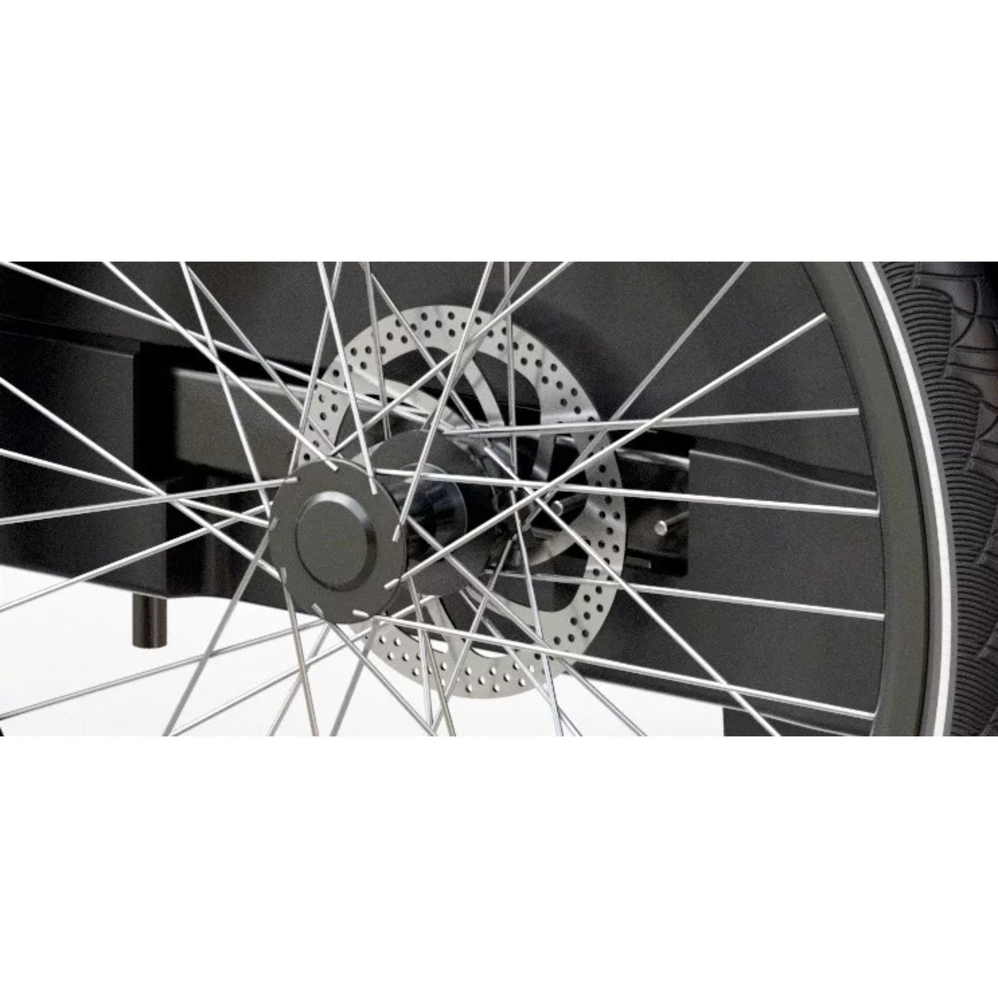 Elektrische bakfiets 3 wielen Royal Cargo Bike voor veilig hondenvervoer