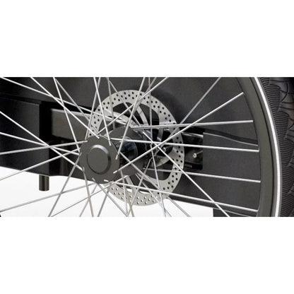 Elektrische bakfiets 3 wielen Royal Cargo Bike voor veilig hondenvervoer