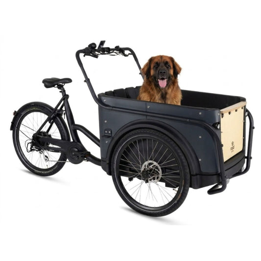 Elektrische bakfiets hond Royal Cargo Bike 3W Eco Dog in stadsomgeving
