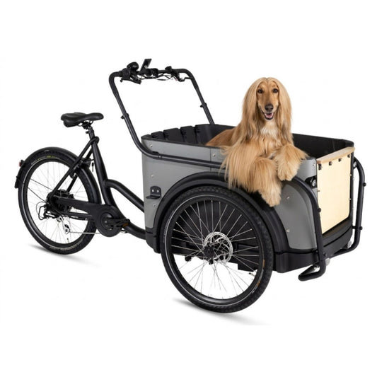 Royal Cargo Bike 3W Eco Dog | Elektrische bakfiets – Veilig en comfortabel op pad met je hond - Taupe Grijs