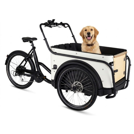Elektrische bakfiets hond Royal Cargo Bike 3W Eco Dog in stadsomgeving
