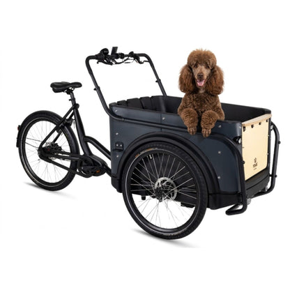 Elektrische bakfiets 3 wielen Royal Cargo Bike voor veilig hondenvervoer